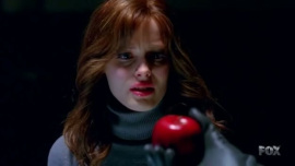 Fringe-1x08-The-Equation_565