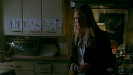 Fringe-1x03-The-Ghost-Network_226