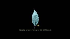 Fringe-1x04-The-Arrival_353