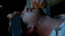 Fringe-1x04-The-Arrival_368