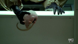 Fringe-1x06-The-Cure_353