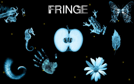 Fringe_033